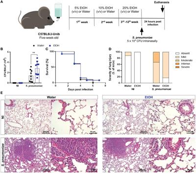 Chronic ethanol exposure impairs alveolar leukocyte infiltration during pneumococcal pneumonia, leading to an increased bacterial burden despite increased CXCL1 and nitric oxide levels